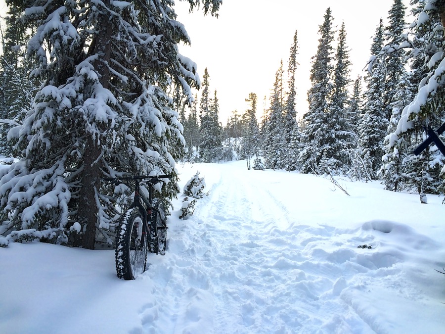 Fatbike