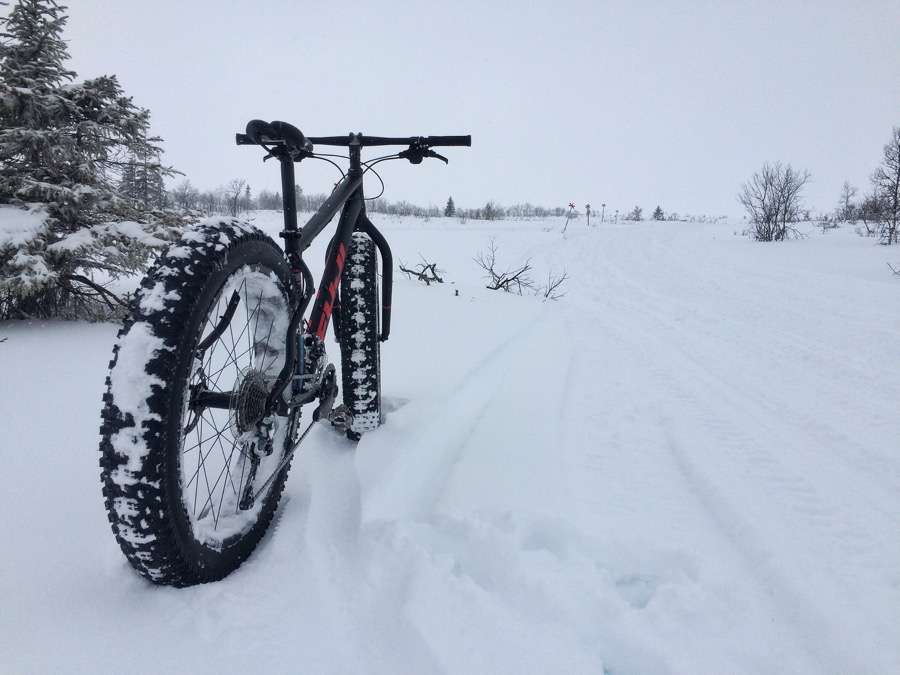 Fatbike