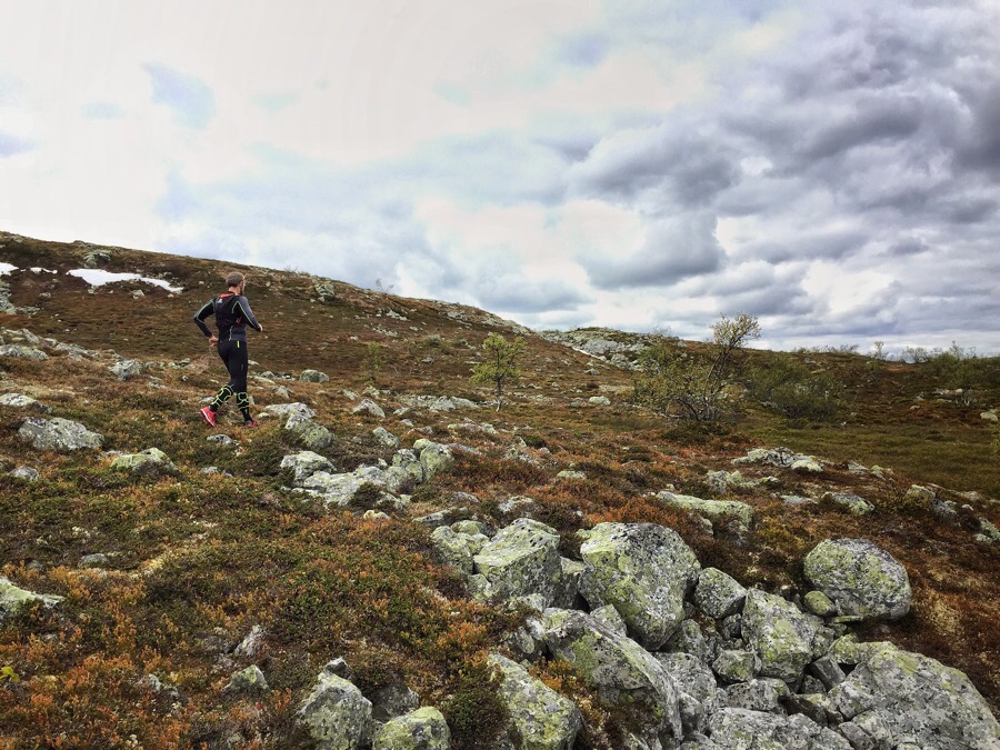 träningspass