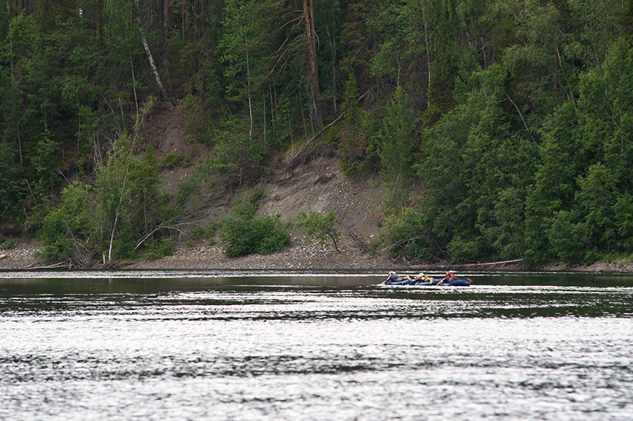 hårkan
