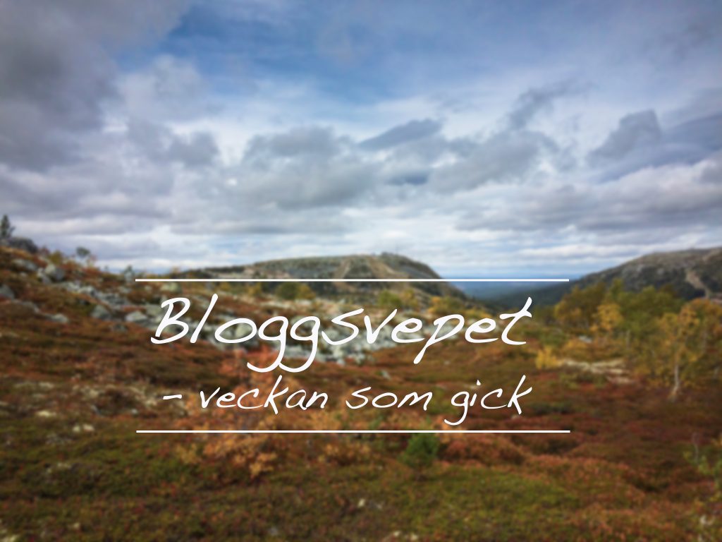 bloggsvepet1