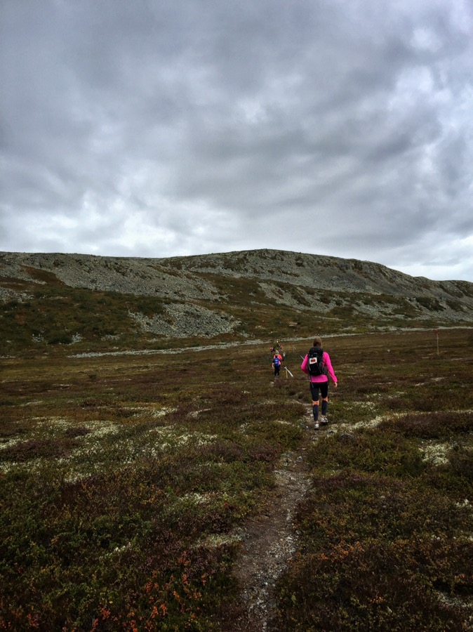 fjällmaraton 11km