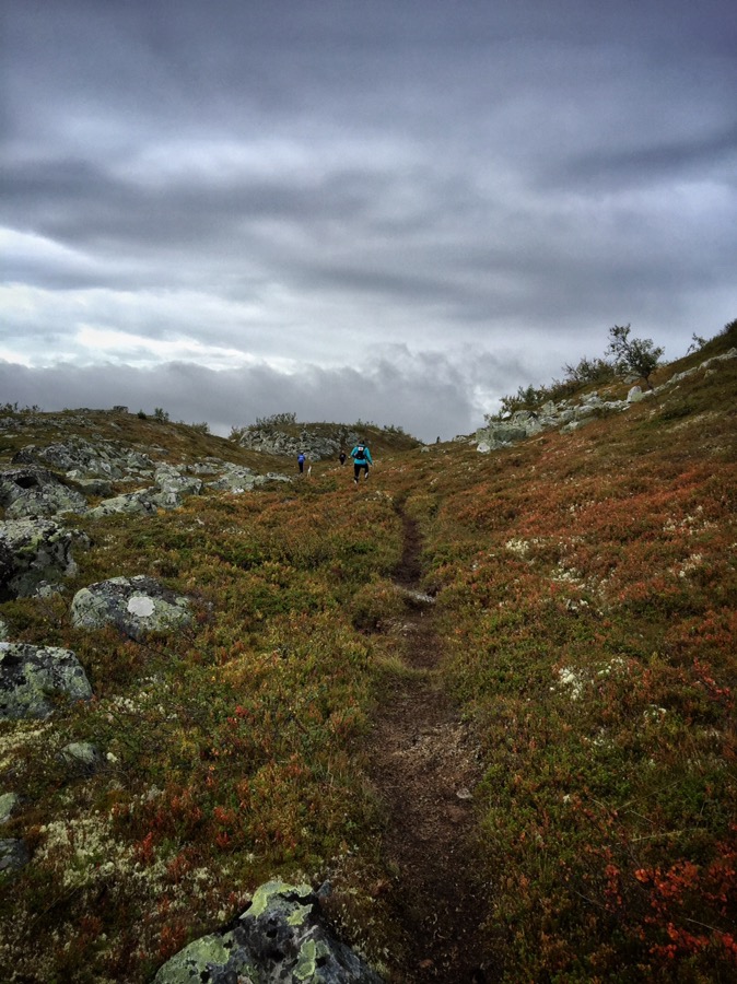 fjällmaraton 11km