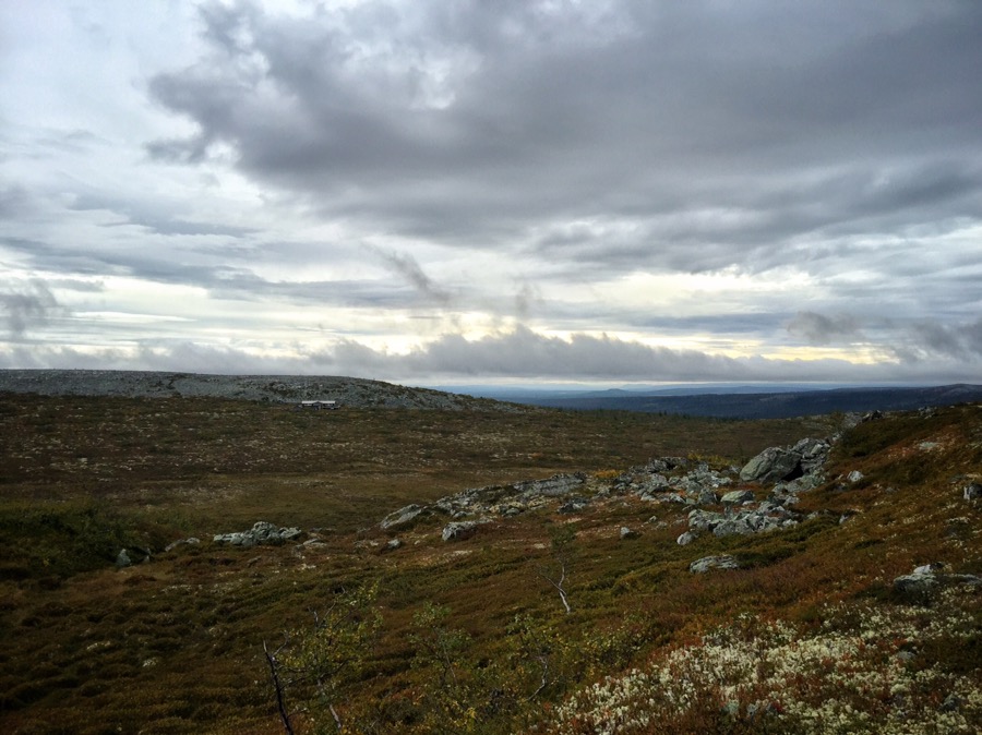 fjällmaraton 11km