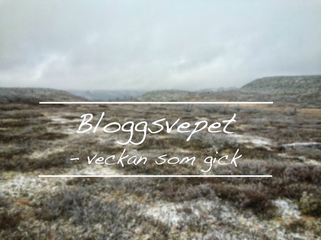 bloggsvepet2