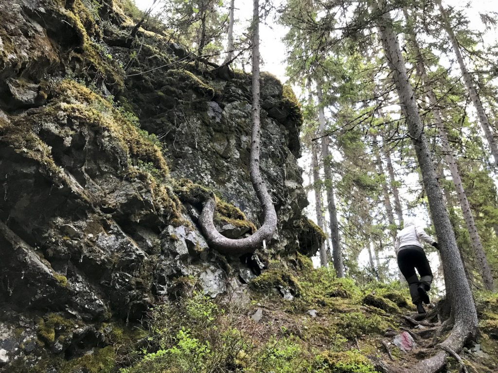 Äventyrsstigen