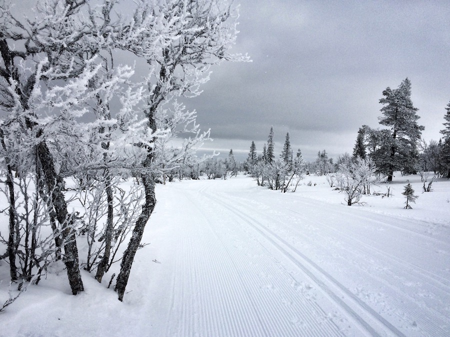 långpass