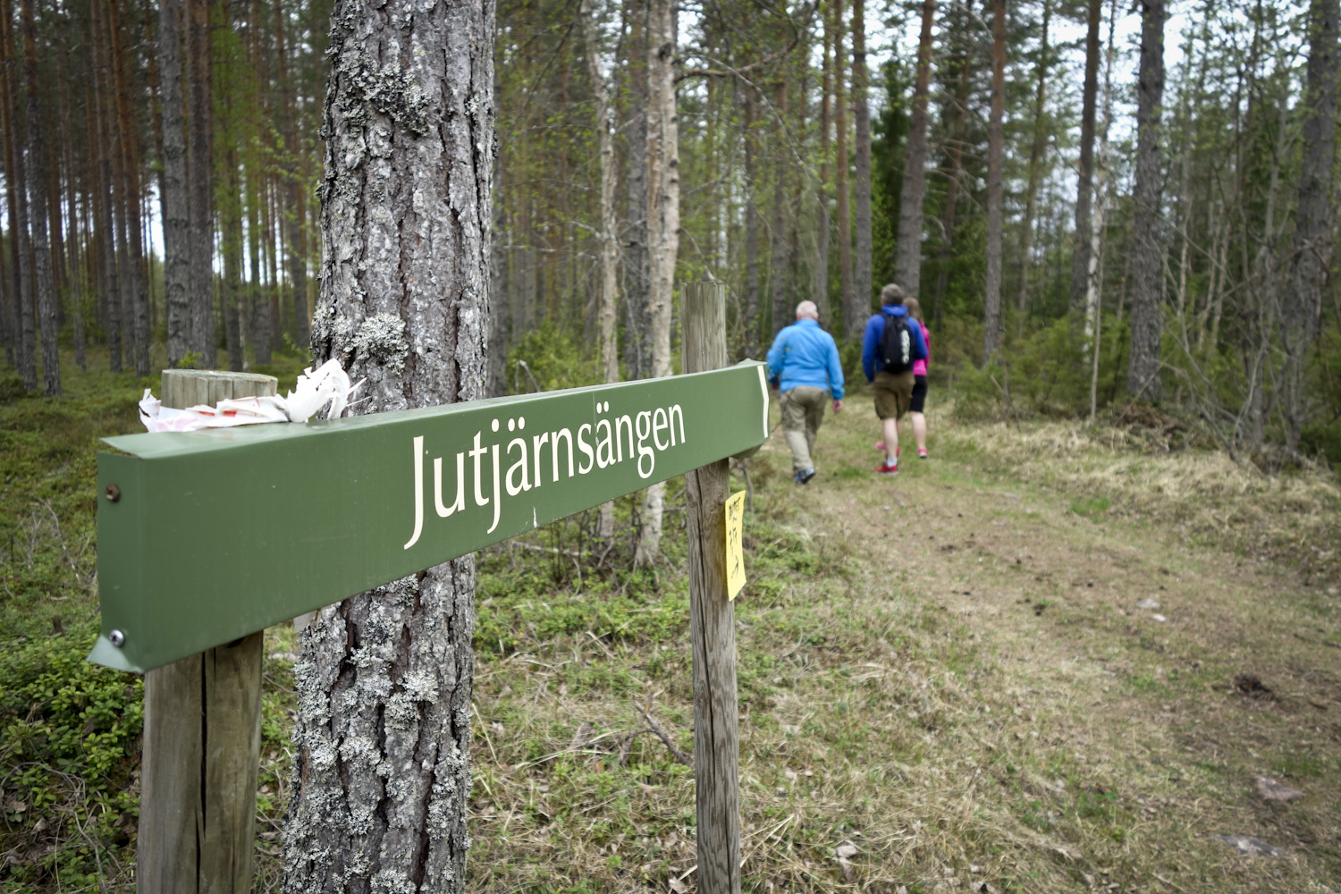 jutjärnsängen